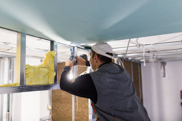 Best Insulation Installation Services in Longtown, OK