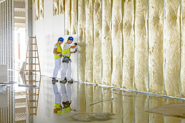 Best Types of Insulation in Longtown, OK